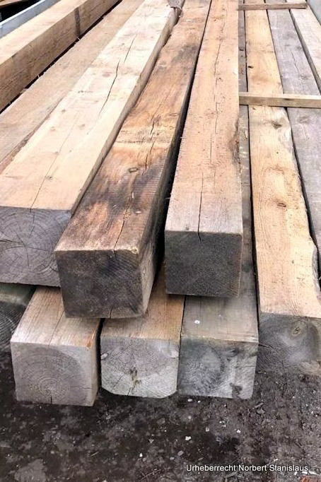 Dein Abenteuer am Nord-Ostsee-Kanal: Suche dir dein Holz für dein Wildwuchs-Unikat selbst aus
