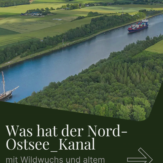 Holz vom Nord Ostsee Kanal