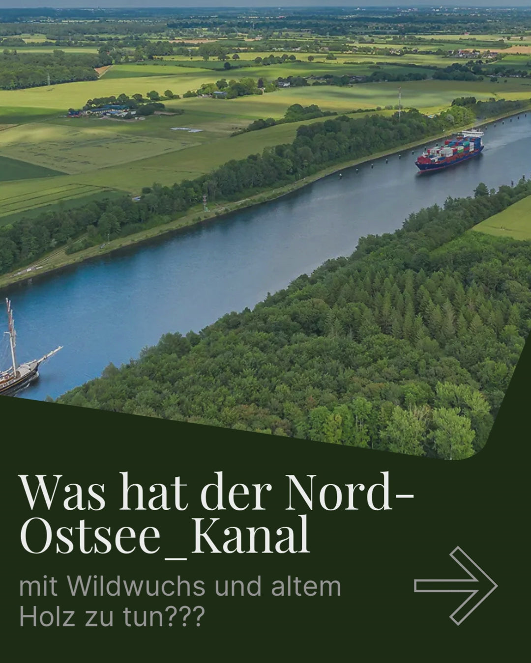 Holz vom Nord Ostsee Kanal